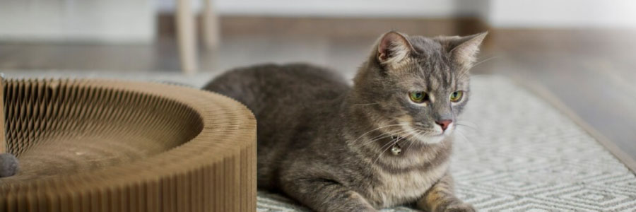 描述: C:\Users\USER\AppData\Local\Microsoft\Windows\INetCache\Content.Word\2.jpg